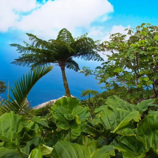 Beautiful Saba Island